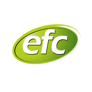 ELECTRO FERRO CENTRO SAC - EFC SAC